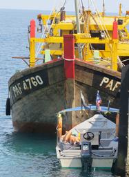 Cliquez pour agrandir l'image