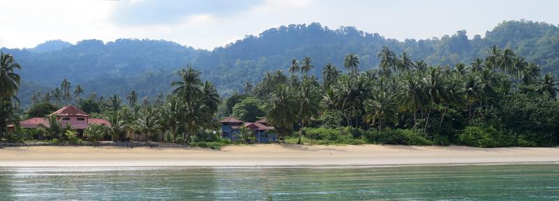 Cliquez pour agrandir l'image