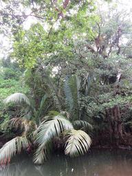 Cliquez pour agrandir l'image