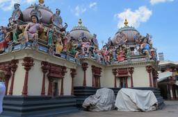 Cliquez pour agrandir l'image Cliquez pour agrandir l'image