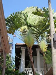 Cliquez pour agrandir l'image