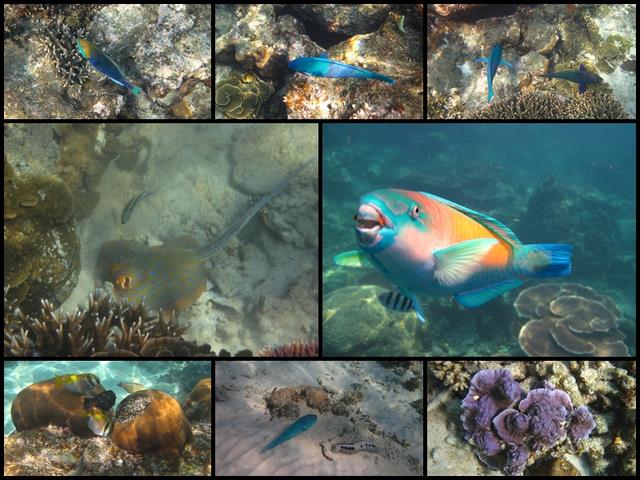 Cliquez pour agrandir l'image