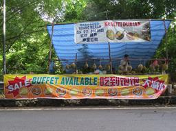 Cliquez pour agrandir l'image Cliquez pour agrandir l'image