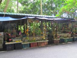 Cliquez pour agrandir l'image