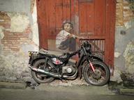 Cliquez pour agrandir l'image