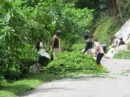 Cliquez pour agrandir l'image