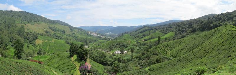 Cliquez pour agrandir l'image