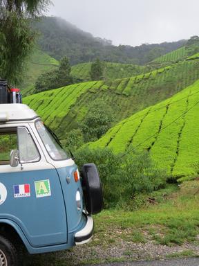 Cliquez pour agrandir l'image