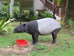 Cliquez pour agrandir l'image