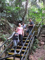 Cliquez pour agrandir l'image