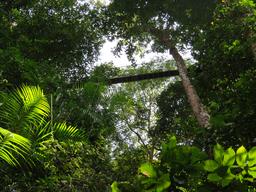 Cliquez pour agrandir l'image