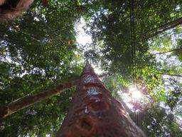 Cliquez pour agrandir l'image