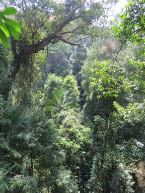 Cliquez pour agrandir l'image