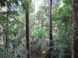 Cliquez pour agrandir l'image