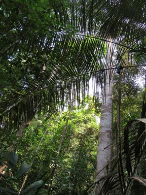 Cliquez pour agrandir l'image