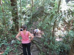 Cliquez pour agrandir l'image