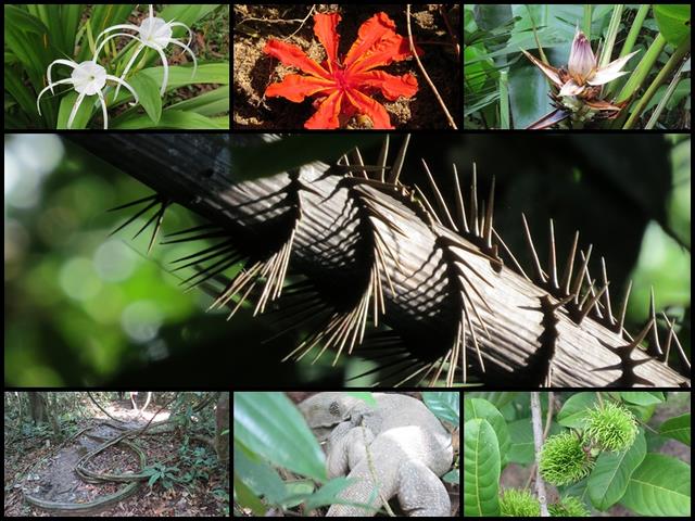 Cliquez pour agrandir l'image