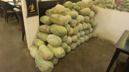 Cliquez pour agrandir l'image