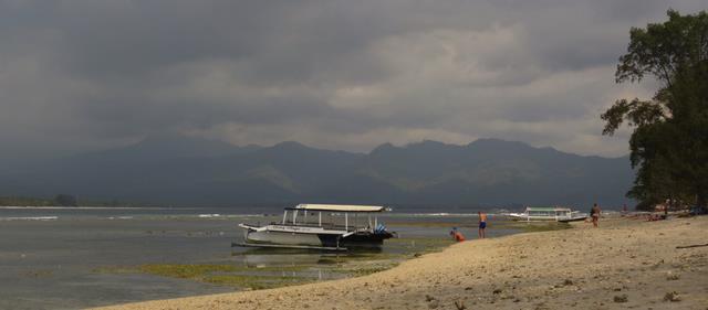 Cliquez pour agrandir l'image