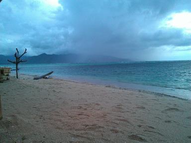 Cliquez pour agrandir l'image Cliquez pour agrandir l'image