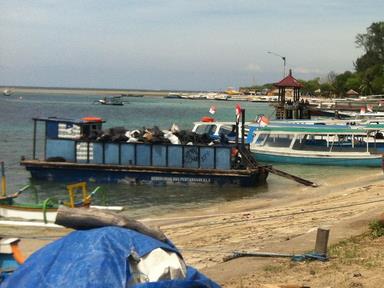 Cliquez pour agrandir l'image Cliquez pour agrandir l'image