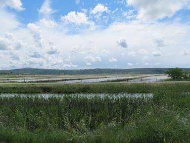 Cliquez pour agrandir l'image