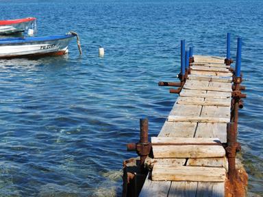 Cliquez pour agrandir l'image