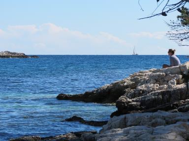 Cliquez pour agrandir l'image