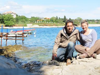 Cliquez pour agrandir l'image