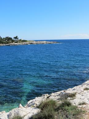 Cliquez pour agrandir l'image