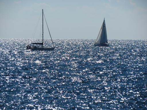 Cliquez pour agrandir l'image