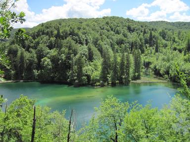 Cliquez pour agrandir l'image