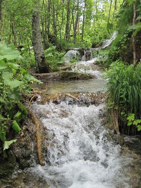 Cliquez pour agrandir l'image