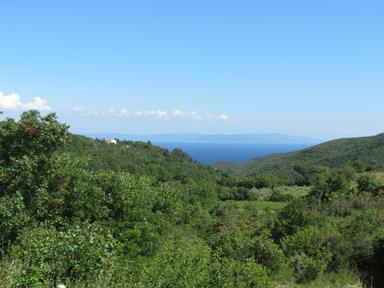 Cliquez pour agrandir l'image