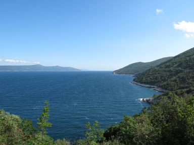 Cliquez pour agrandir l'image