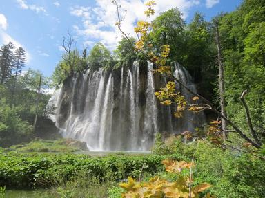 Cliquez pour agrandir l'image