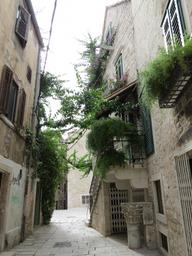 Cliquez pour agrandir l'image