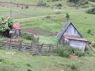 Cliquez pour agrandir l'image