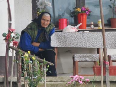 Cliquez pour agrandir l'image