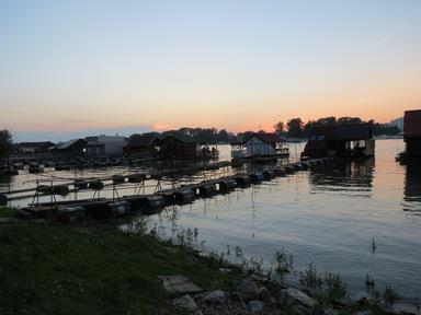 Cliquez pour agrandir l'image