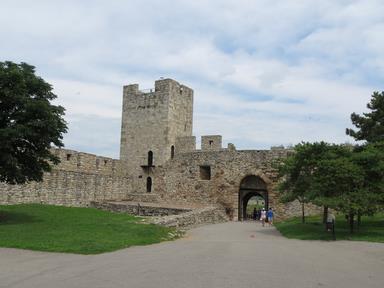 Cliquez pour agrandir l'image