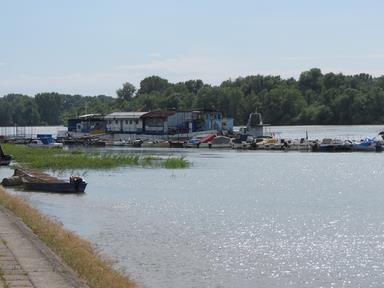 Cliquez pour agrandir l'image