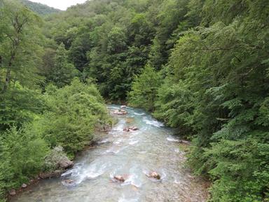 Cliquez pour agrandir l'image