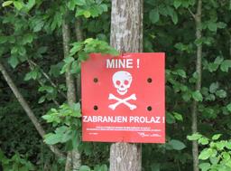 Cliquez pour agrandir l'image