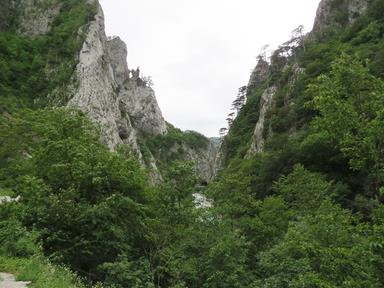 Cliquez pour agrandir l'image