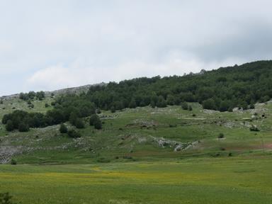 Cliquez pour agrandir l'image