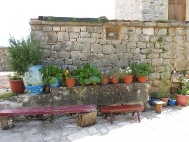 Cliquez pour agrandir l'image