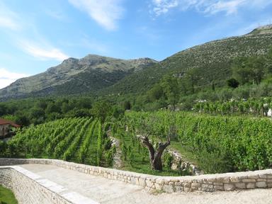 Cliquez pour agrandir l'image