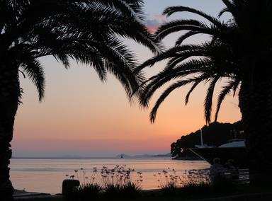 Cliquez pour agrandir l'image