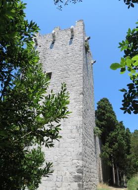 Cliquez pour agrandir l'image